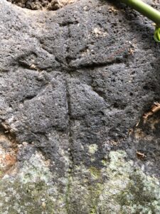 Cross carved by Knights